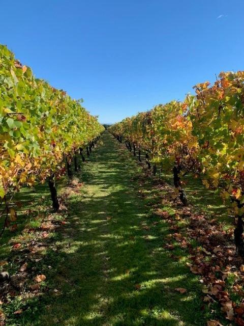 Villas & Vines Glamping Hastings Exterior photo
